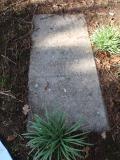 image of grave number 723681